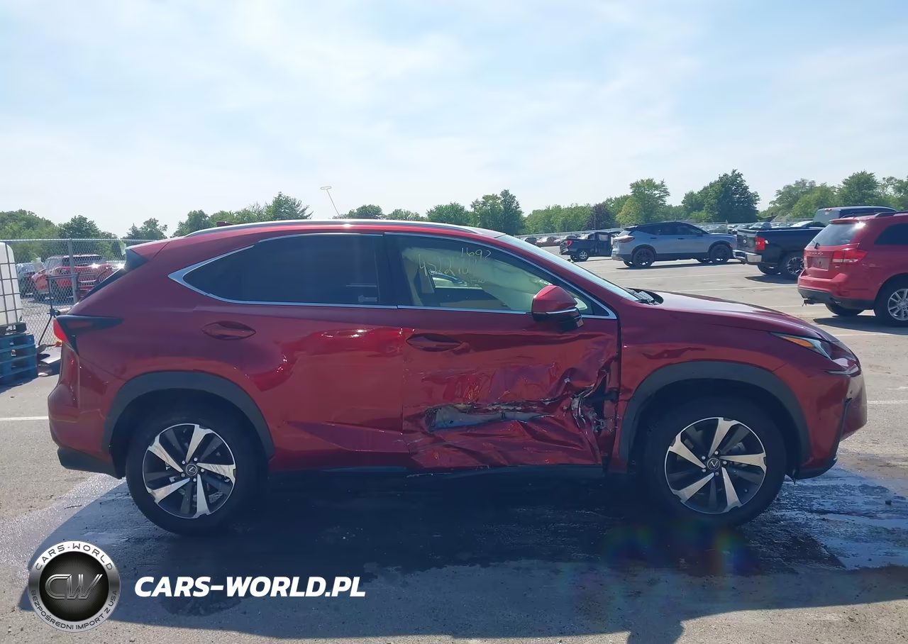 2021 Lexus Nx 300 VIN:JTJGARDZ8M5029082 - 13