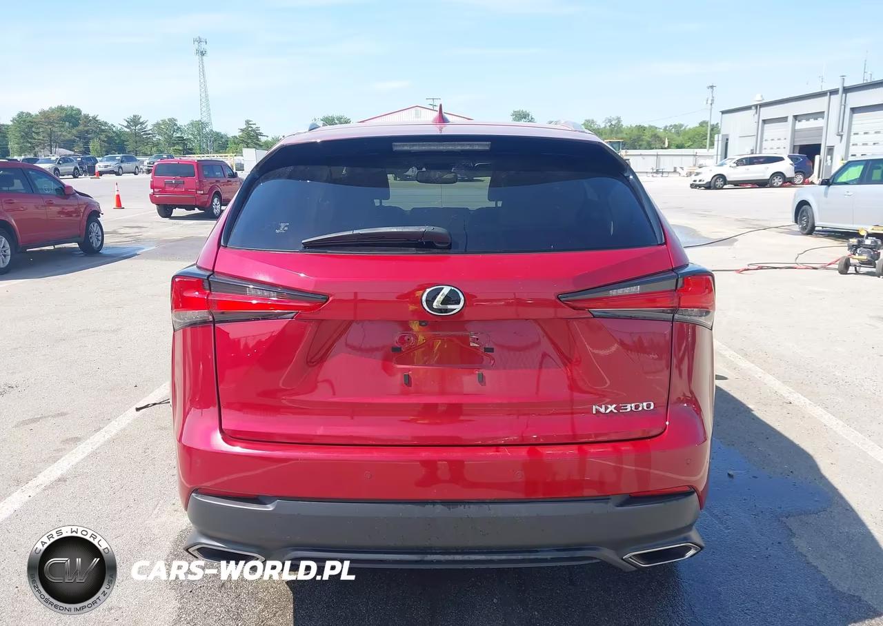2021 Lexus Nx 300 VIN:JTJGARDZ8M5029082 - 16