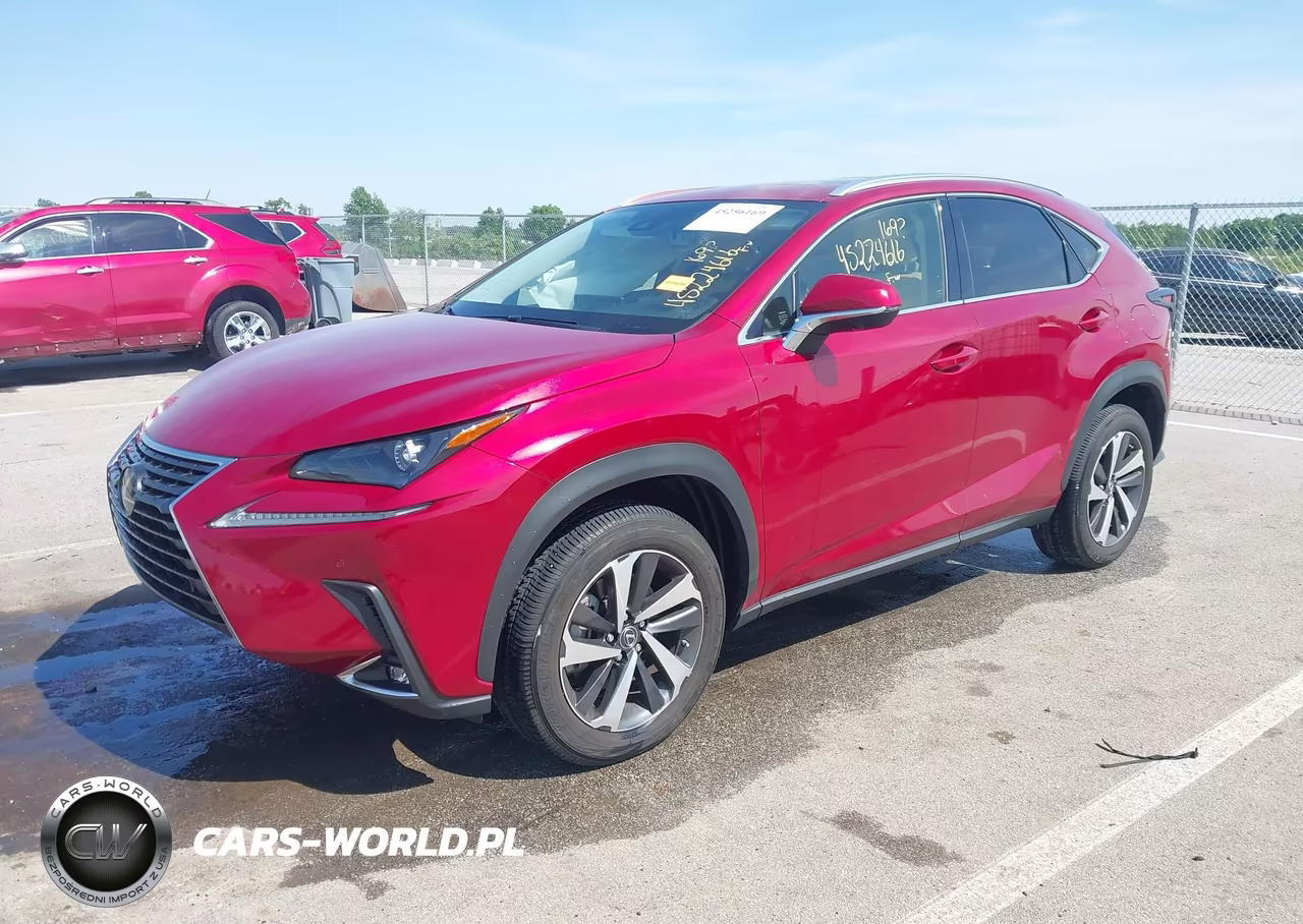 2021 Lexus Nx 300 VIN:JTJGARDZ8M5029082 - 2