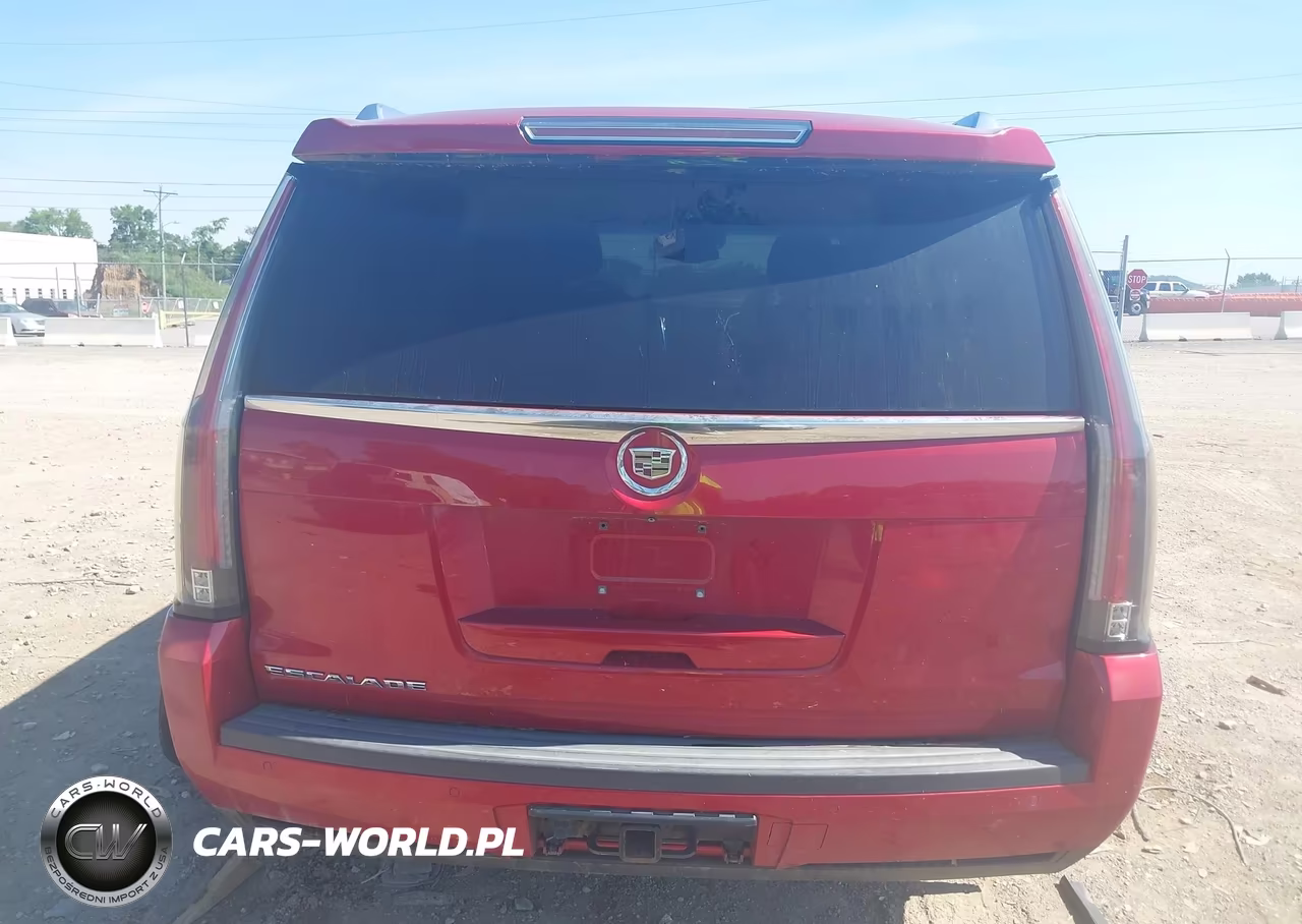 2015 Cadillac Escalade Luxury VIN:1GYS4BKJXFR176132 - 16