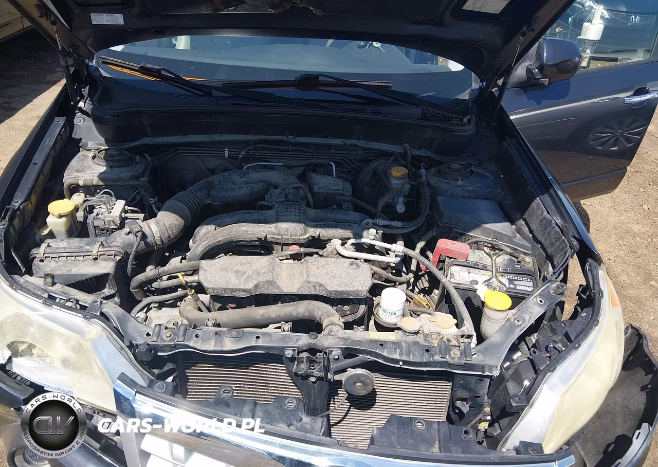 2013 Subaru Forester 2.5X Limited VIN:JF2SHAEC4DH412280 - 10
