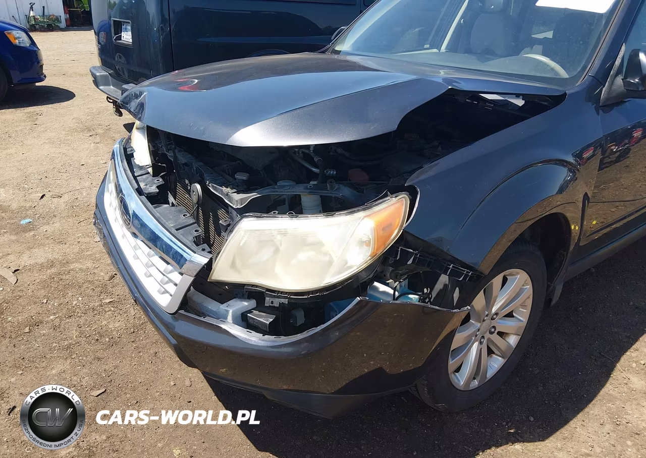 2013 Subaru Forester 2.5X Limited VIN:JF2SHAEC4DH412280 - 17