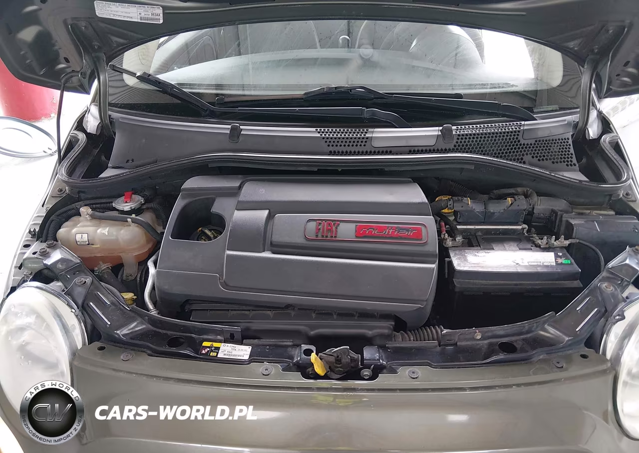 FIAT 500 VIN:3C3CFFAR5DT513088 - 10
