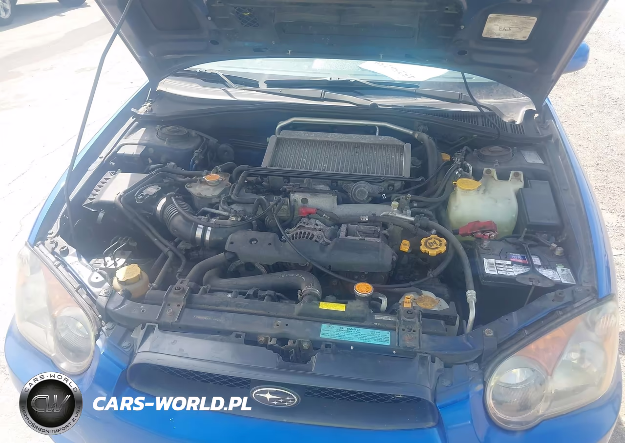2004 Subaru Impreza Wrx VIN:JF1GG29634G813946 - 10