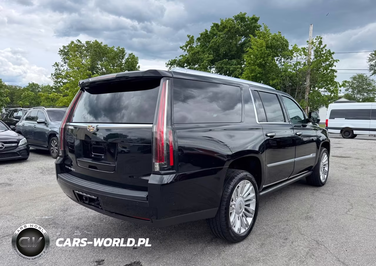 2019 Cadillac Escalade Esv Premium Luxury VIN:1GYS4JKJ4KR316437 - 4