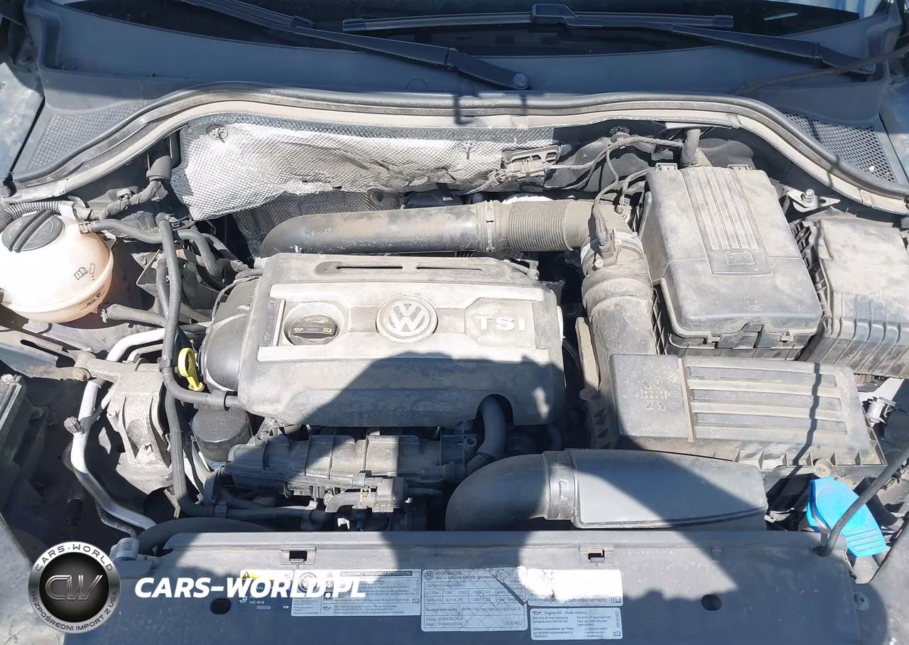 2014 Volkswagen Tiguan R-Line VIN:WVGBV3AX8EW034890 - 10