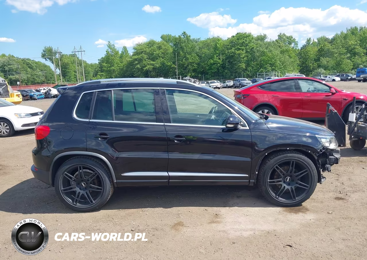 2014 Volkswagen Tiguan R-Line VIN:WVGBV3AX8EW034890 - 13