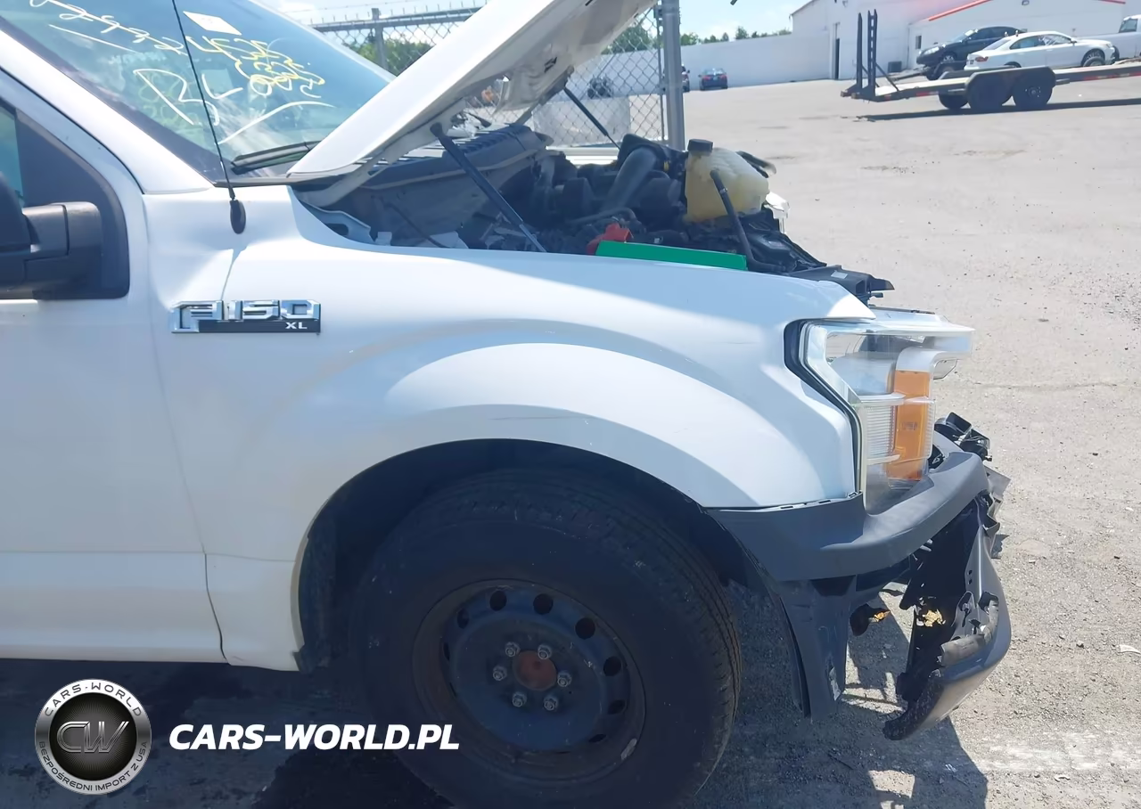 2019 Ford F-150 Xl VIN:1FTMF1CB1KKC82787 - 11