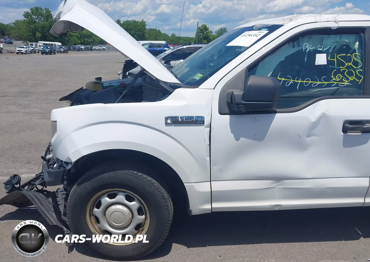 2019 Ford F-150 Xl VIN:1FTMF1CB1KKC82787 - 12