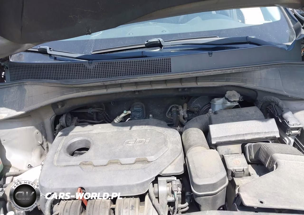 2017 Kia Sorento 2.4L L VIN:5XYPG4A33HG197505 - 10