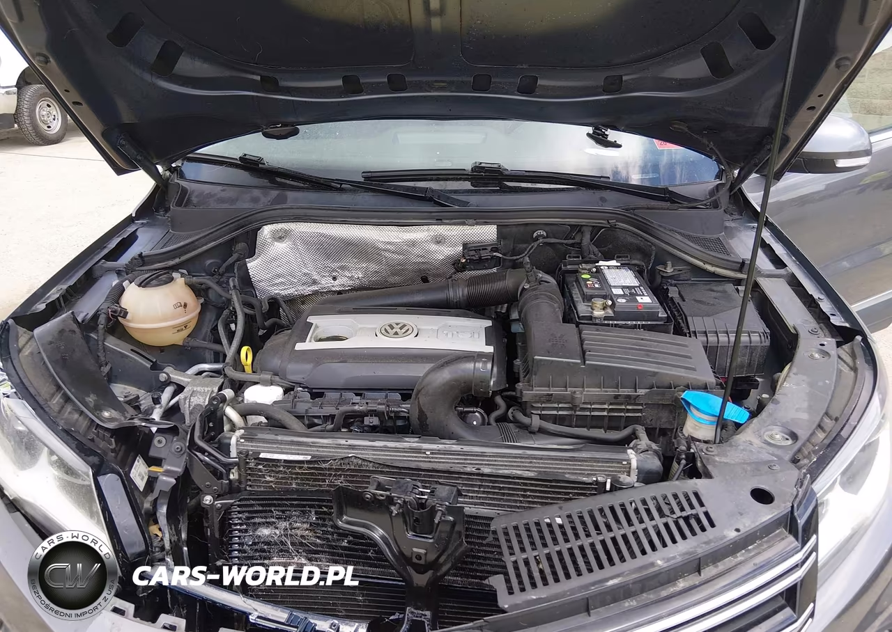 2015 Volkswagen Tiguan Se VIN:WVGBV7AX7FW560145 - 10