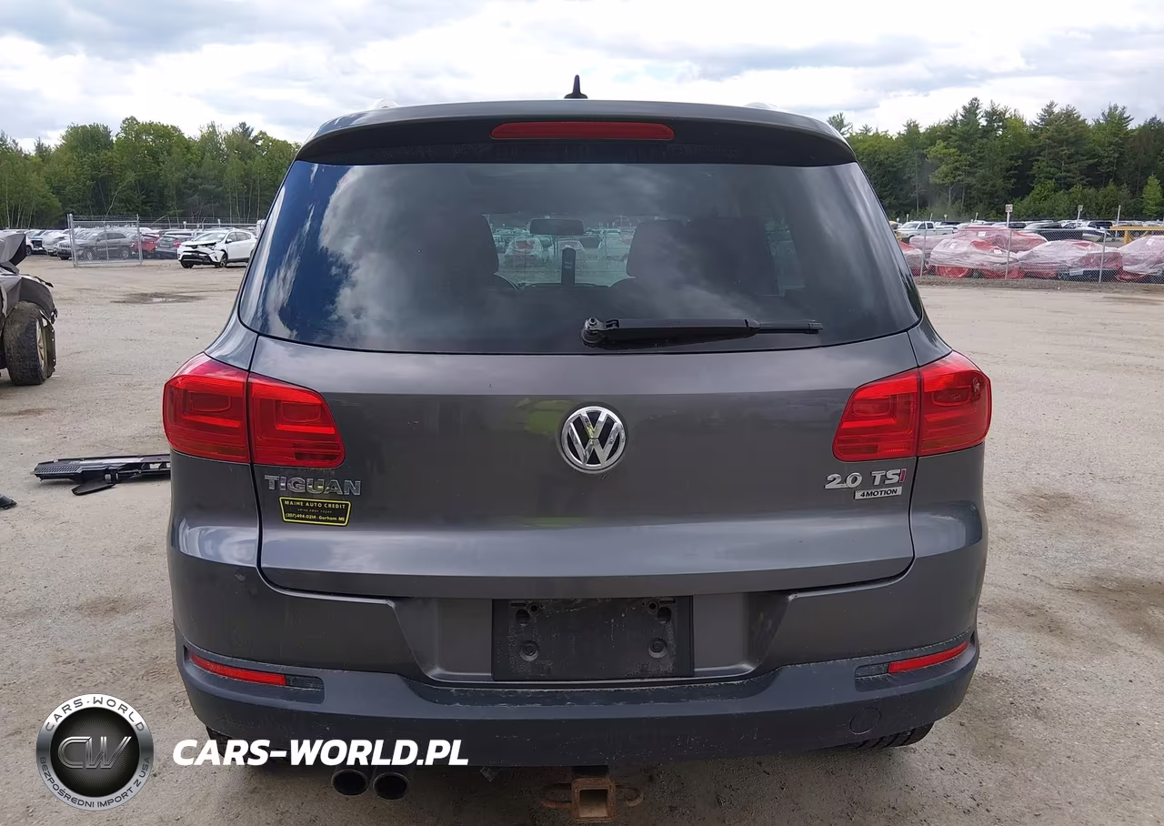 2015 Volkswagen Tiguan Se VIN:WVGBV7AX7FW560145 - 17
