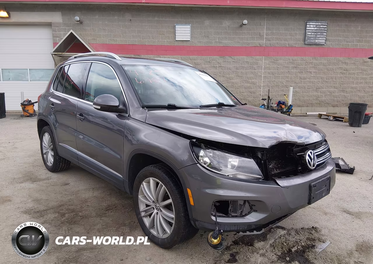 2015 Volkswagen Tiguan Se VIN:WVGBV7AX7FW560145 - 19