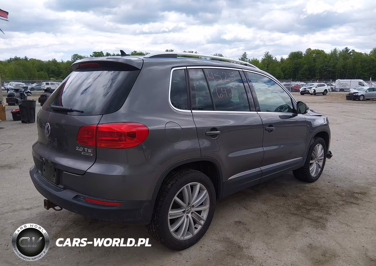 2015 Volkswagen Tiguan Se VIN:WVGBV7AX7FW560145 - 20