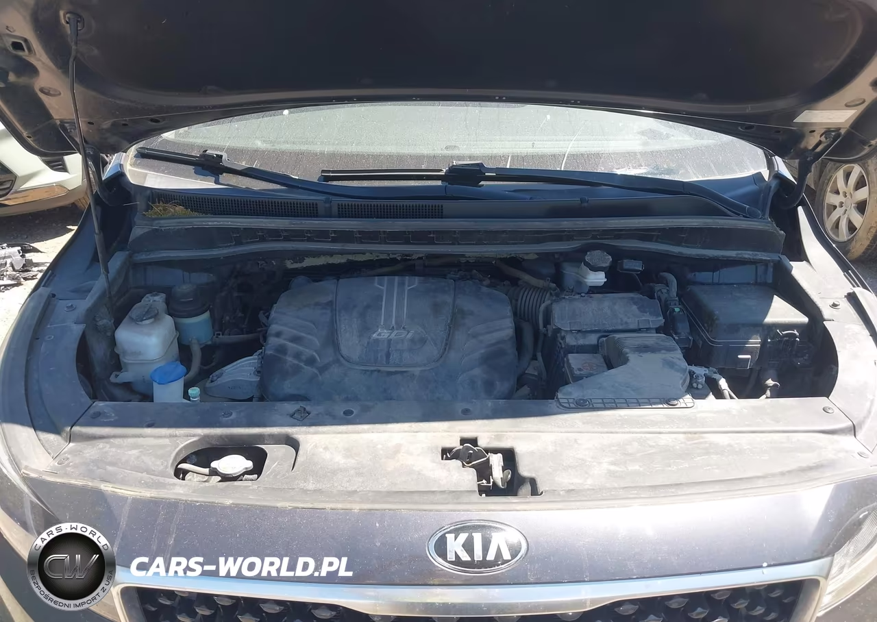 2015 Kia Sedona Ex VIN:KNDMC5C19F6027598 - 10