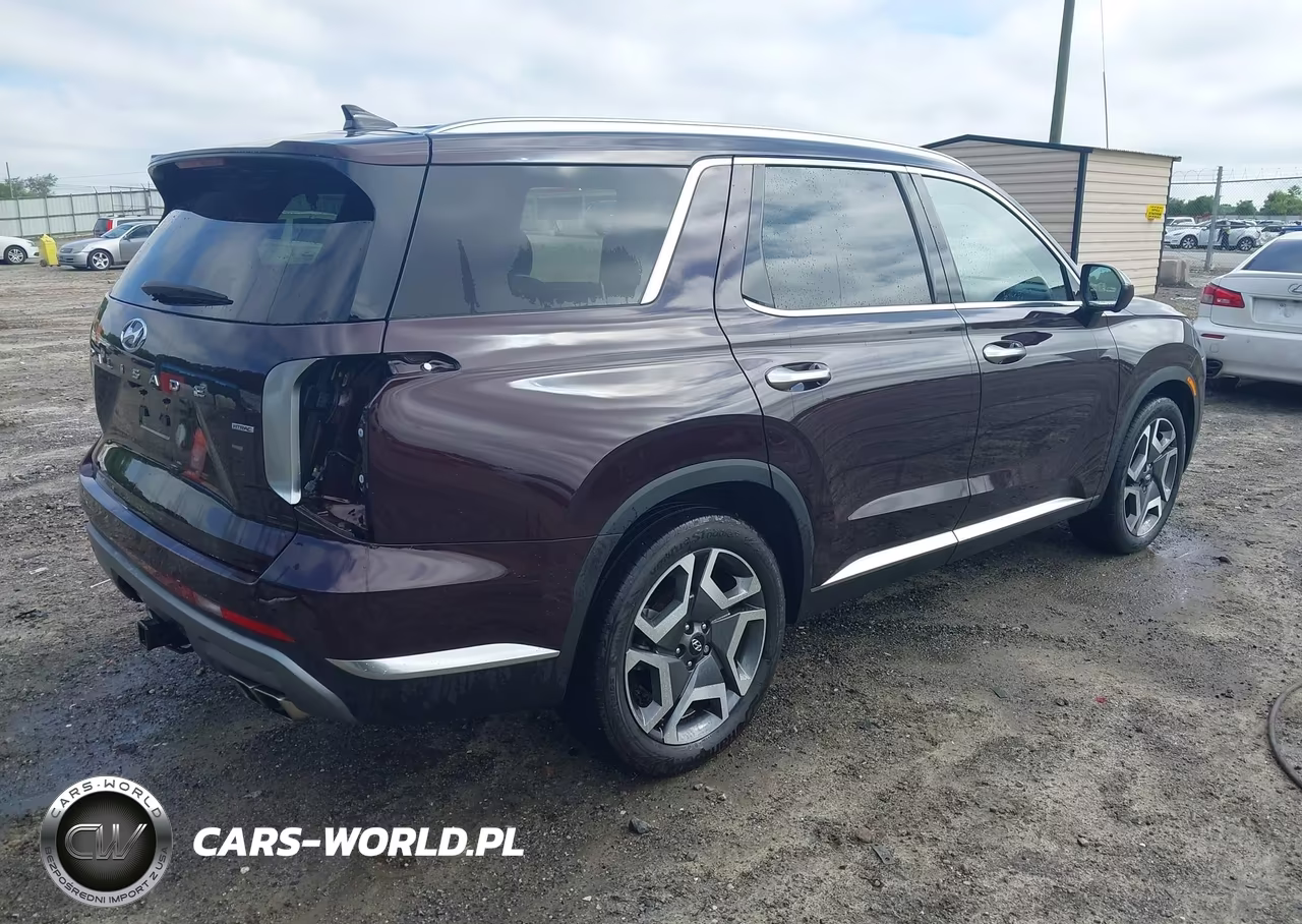 2024 Hyundai Palisade Limited VIN:KM8R5DGE7RU770103 - 4