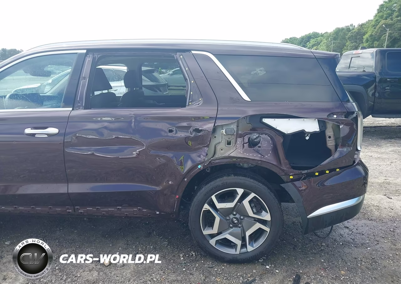 2024 Hyundai Palisade Limited VIN:KM8R5DGE7RU770103 - 6