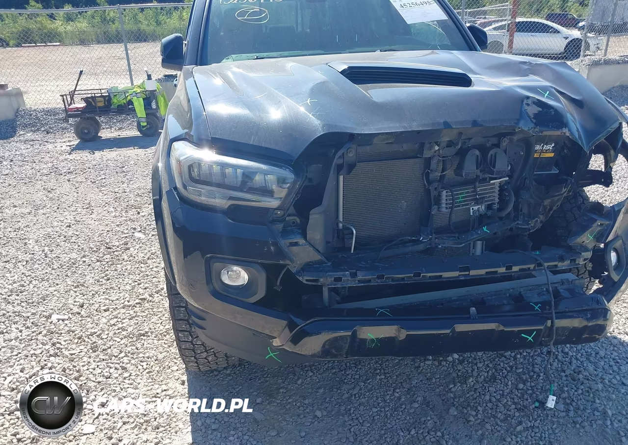 2020 Toyota Tacoma Trd Sport VIN:3TMCZ5AN4LM294935 - 19