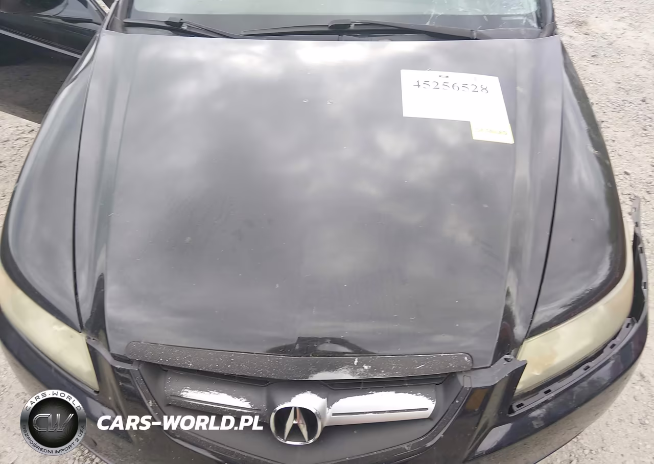 2004 Acura Tl VIN:19UUA662X4A037553 - 10