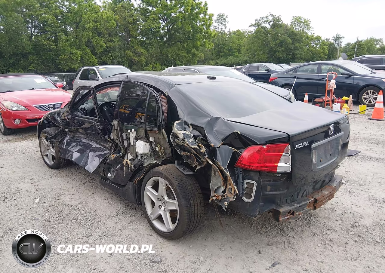 2004 Acura Tl VIN:19UUA662X4A037553 - 3