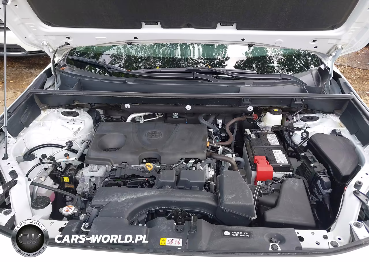 2025 Toyota Rav4 Xle VIN:2T3P1RFV1SW575371 - 10