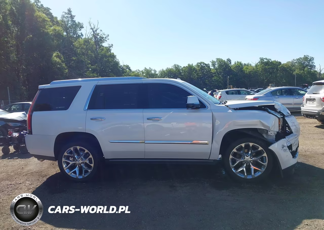 2018 Cadillac Escalade Platinum VIN:1GYS4DKJ4JR137413 - 13
