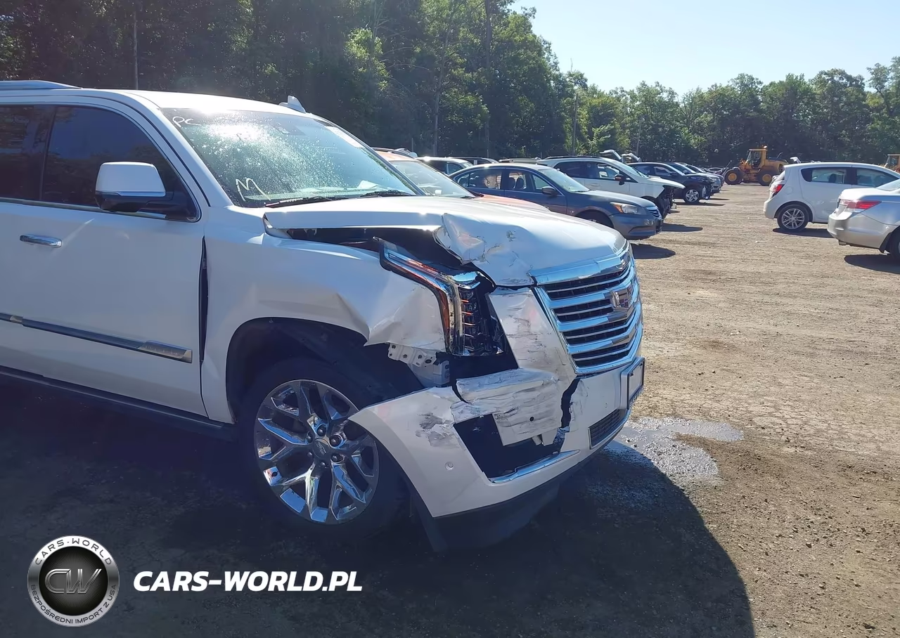 2018 Cadillac Escalade Platinum VIN:1GYS4DKJ4JR137413 - 6