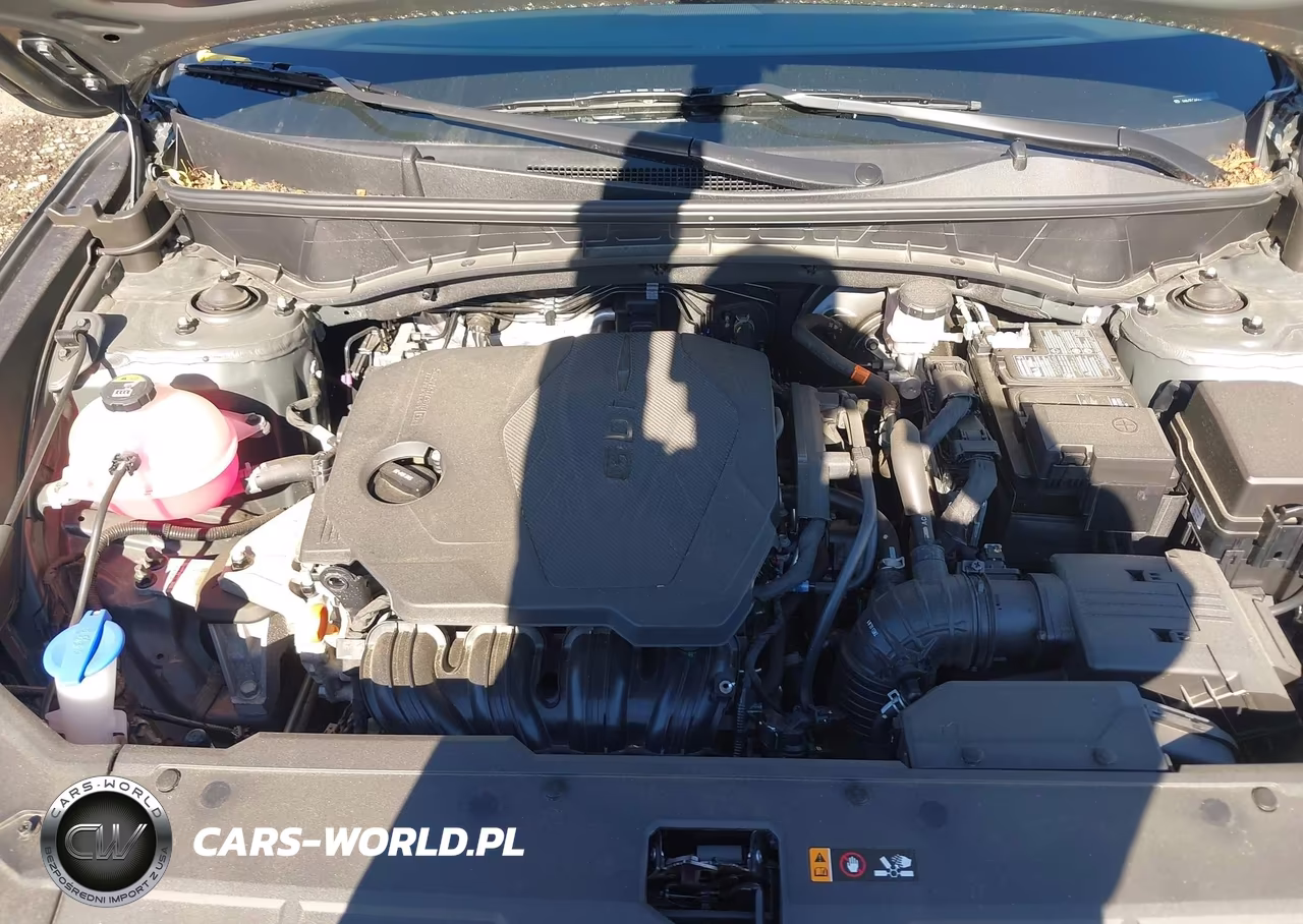 2023 Hyundai Tucson Sel VIN:5NMJFCAEXPH253187 - 10