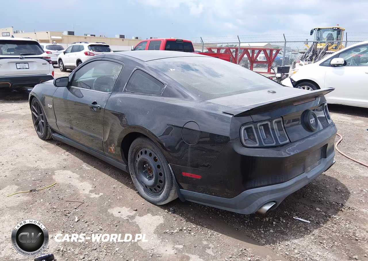 2011 Ford Mustang Gt Premium VIN:1ZVBP8CF0B5140832 - 3
