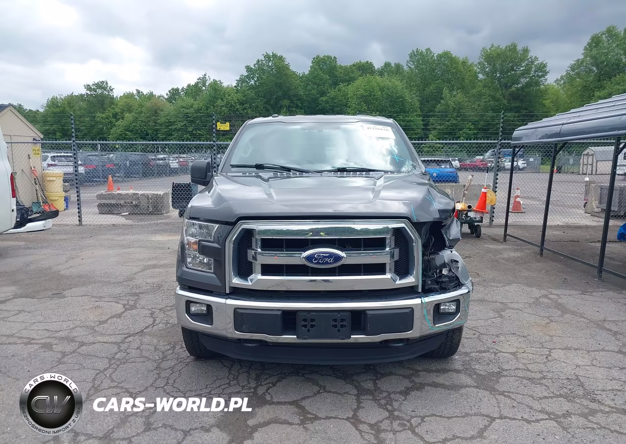 2016 Ford F-150 Xlt VIN:1FTFW1EG9GKE99917 - 12