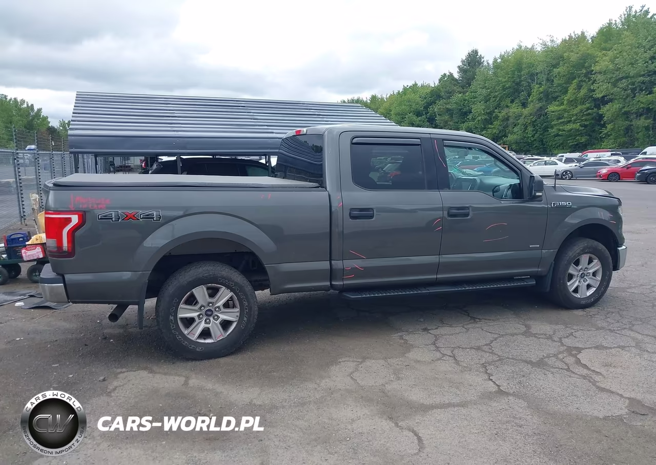 2016 Ford F-150 Xlt VIN:1FTFW1EG9GKE99917 - 13