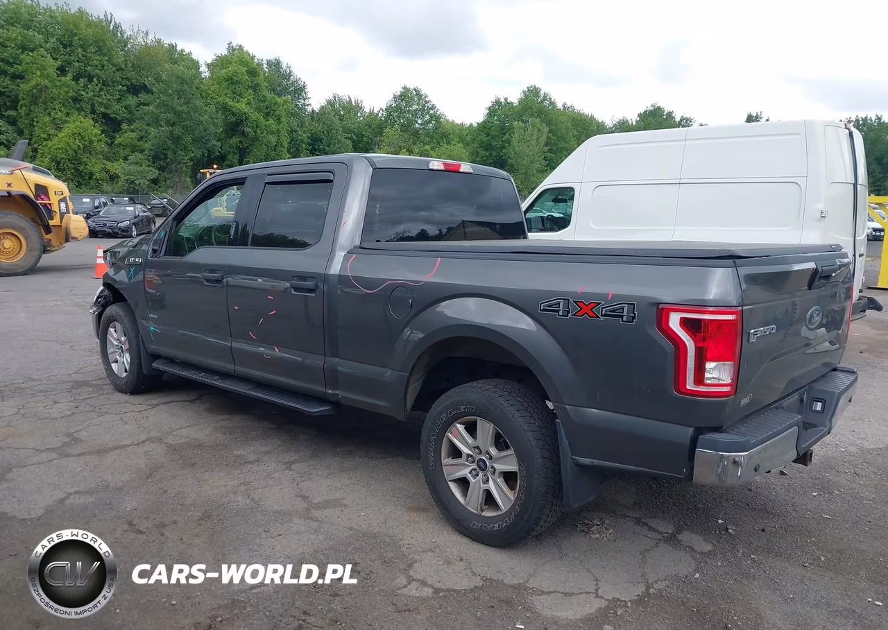 2016 Ford F-150 Xlt VIN:1FTFW1EG9GKE99917 - 14