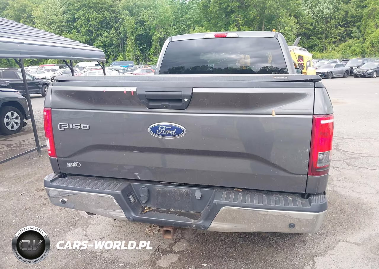 2016 Ford F-150 Xlt VIN:1FTFW1EG9GKE99917 - 16