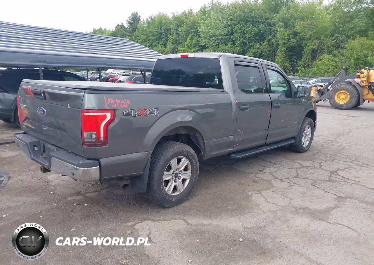 2016 Ford F-150 Xlt VIN:1FTFW1EG9GKE99917 - 4