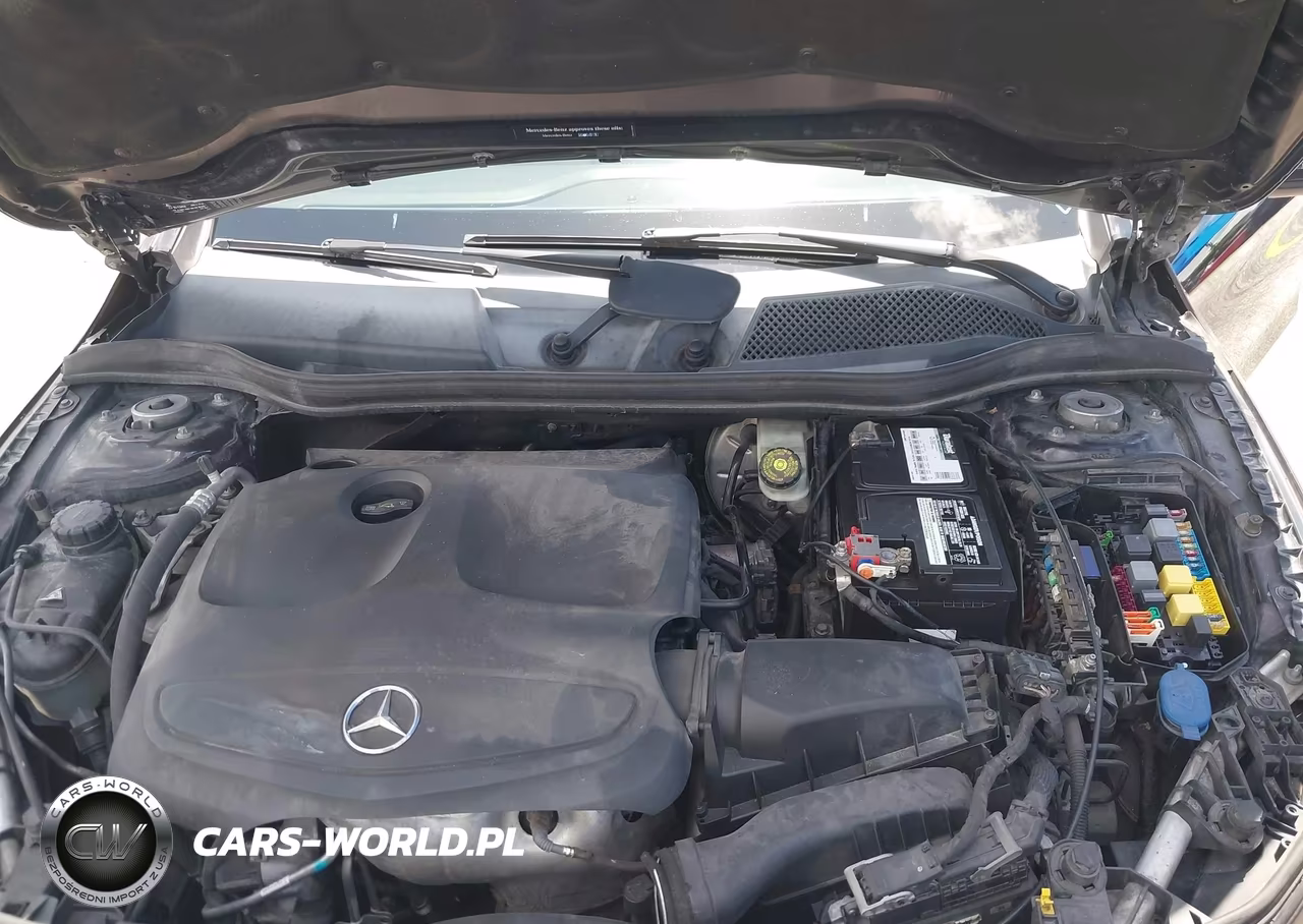 2015 Mercedes-Benz Cla 250 VIN:WDDSJ4EB6FN217321 - 10