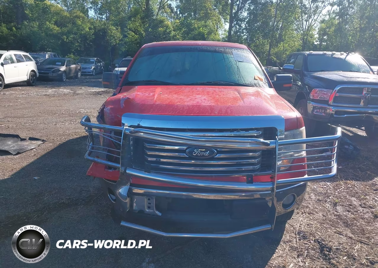 2011 Ford F-150 Xlt VIN:1FTFW1CT1BFB48260 - 12