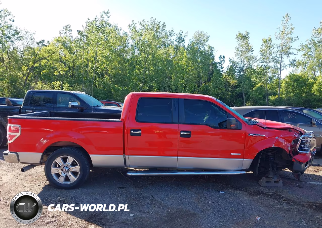 2011 Ford F-150 Xlt VIN:1FTFW1CT1BFB48260 - 13