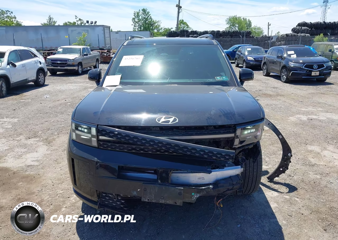 2024 Hyundai Santa Fe Calligraphy VIN:5NMP5DGL7RH031024 - 12