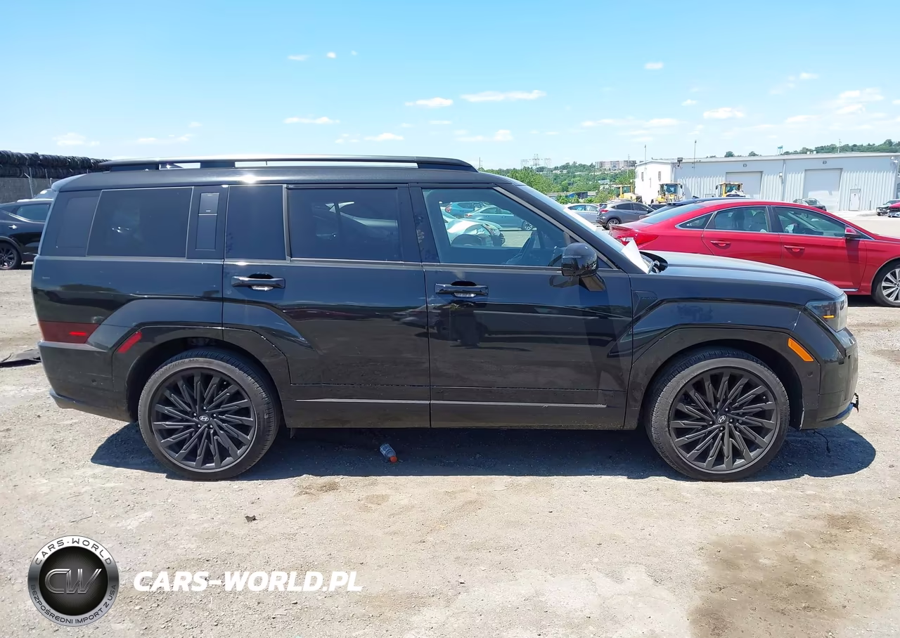 2024 Hyundai Santa Fe Calligraphy VIN:5NMP5DGL7RH031024 - 13