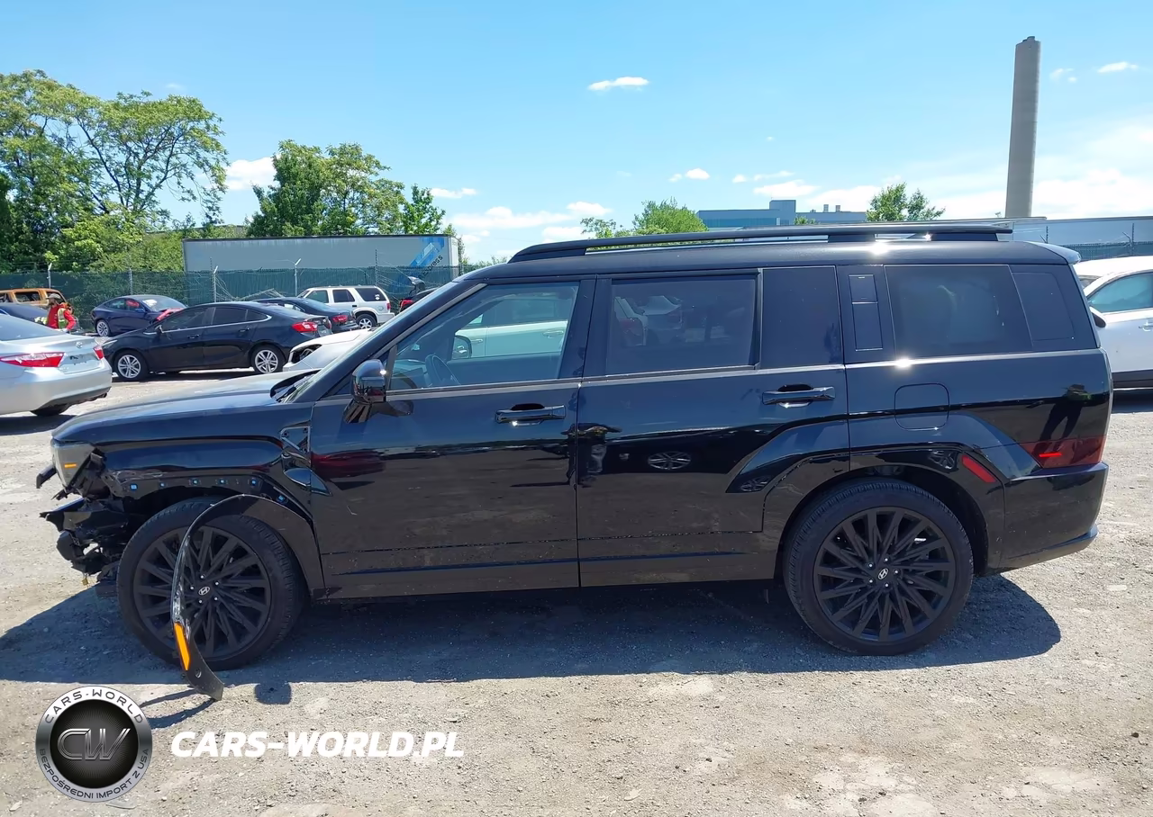 2024 Hyundai Santa Fe Calligraphy VIN:5NMP5DGL7RH031024 - 14