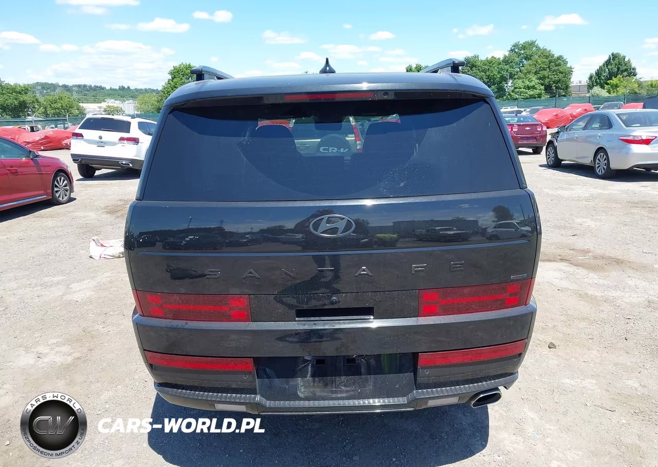 2024 Hyundai Santa Fe Calligraphy VIN:5NMP5DGL7RH031024 - 16