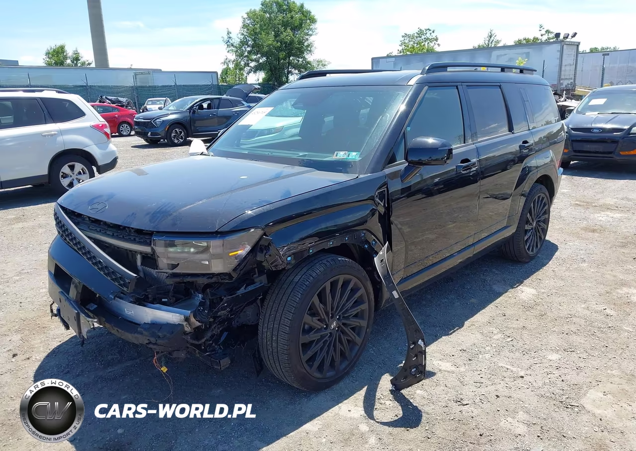 2024 Hyundai Santa Fe Calligraphy VIN:5NMP5DGL7RH031024 - 2