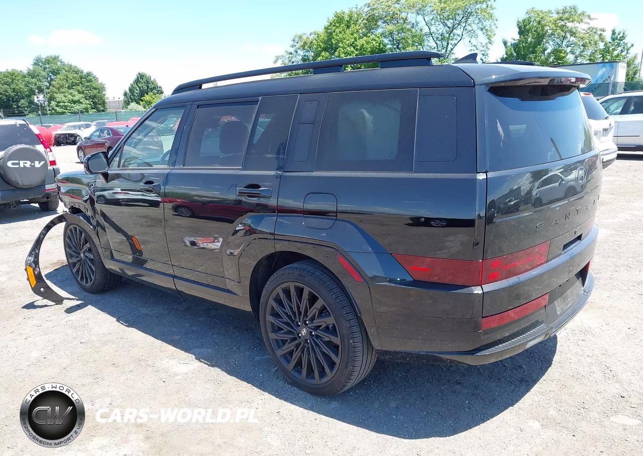 2024 Hyundai Santa Fe Calligraphy VIN:5NMP5DGL7RH031024 - 3