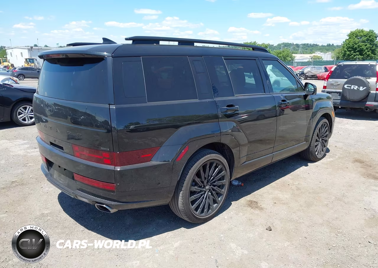 2024 Hyundai Santa Fe Calligraphy VIN:5NMP5DGL7RH031024 - 4