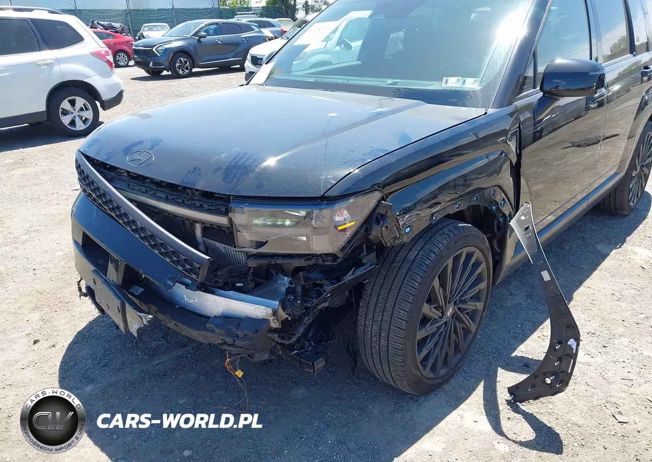 2024 Hyundai Santa Fe Calligraphy VIN:5NMP5DGL7RH031024 - 6