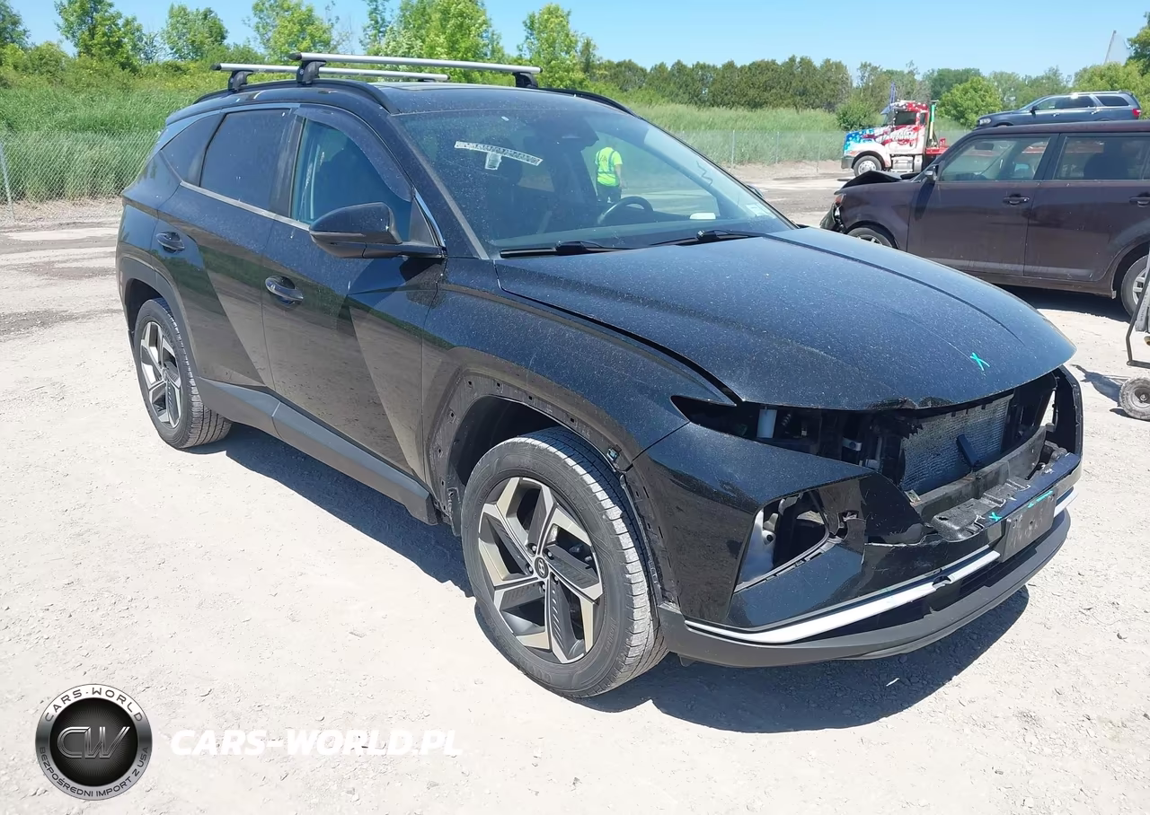 2022 Hyundai Tucson Sel VIN:5NMJCCAE8NH036694 - 1