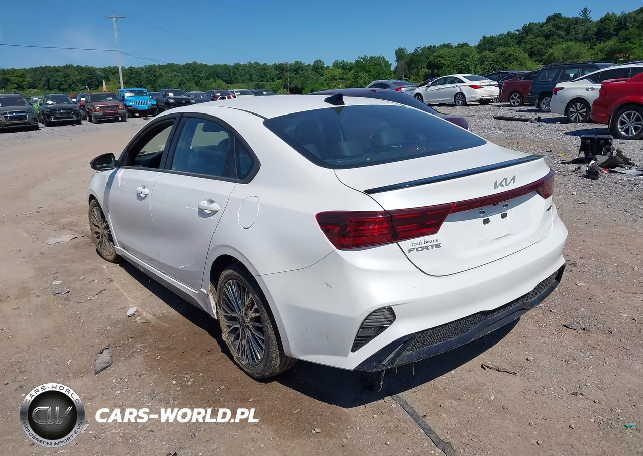 2022 Kia Forte Gt-Line VIN:3KPF54AD3NE499346 - 3