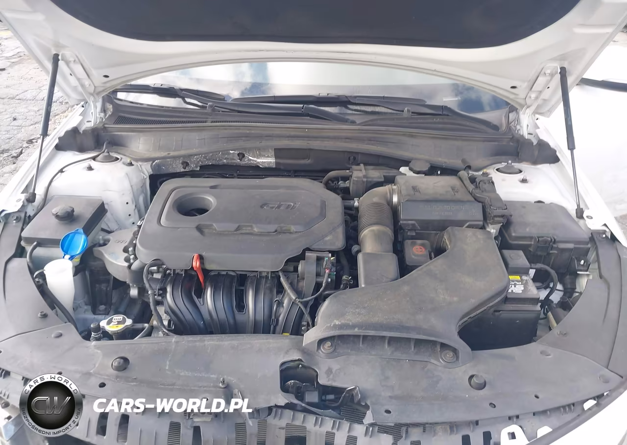 2019 Kia Optima S VIN:5XXGT4L39KG356354 - 10