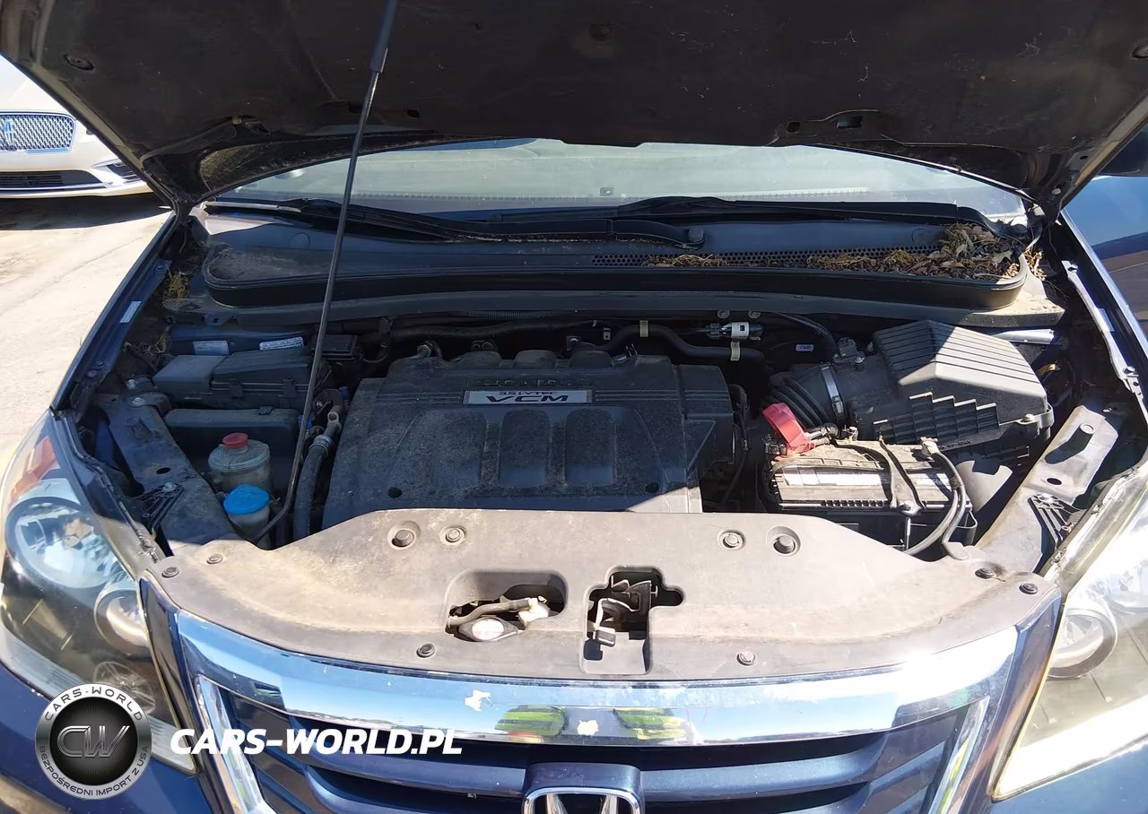 2009 Honda Odyssey Ex-L VIN:5FNRL38719B400794 - 10