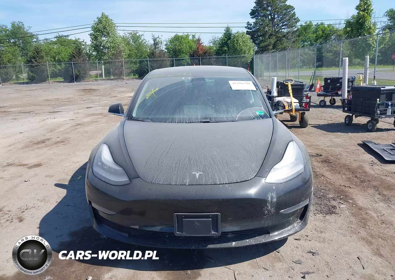 2020 Tesla Model 3 Long Range Dual Motor All-Wheel Drive VIN:5YJ3E1EB8LF666169 - 11